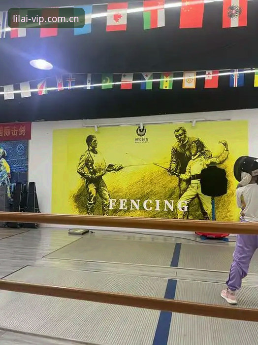 利来国际体育互动乐趣深度解析：老用户眼中的真实体验与全面评测